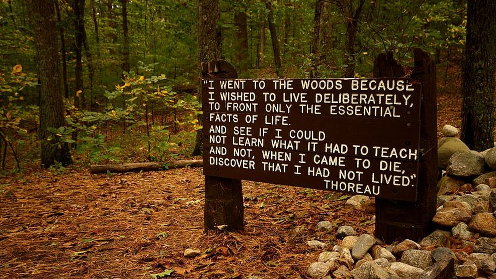 What the muck of walden pond tells us about our planet