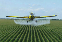 97% of endangered species threatened by two common pesticides