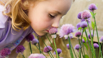 How young children use sensory cues to make social decisions