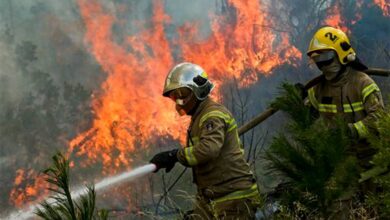Chile: Incendios forestales ceden y comienza reconstrucción
