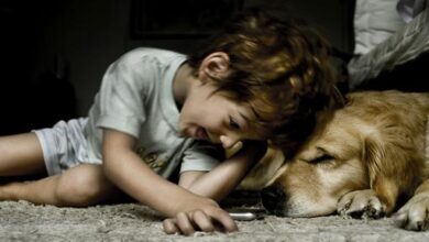 Pets are a child’s best friend, not their siblings