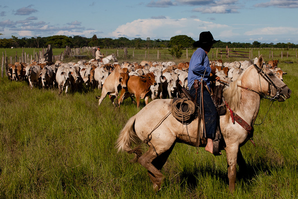 A day of playing cowboy in Colombia