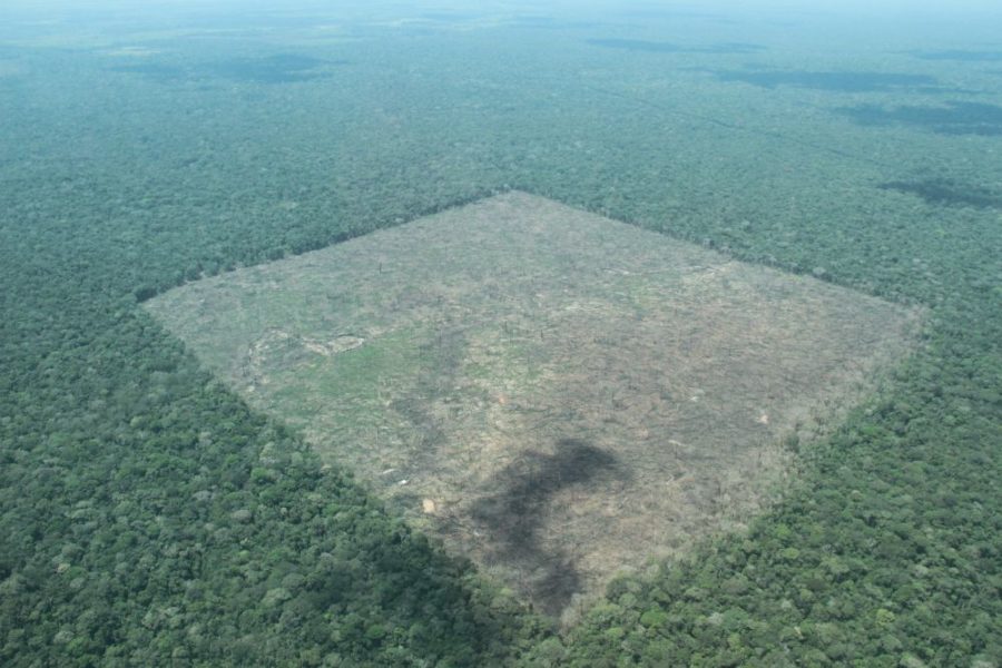 Colombia lost over 5200km2 of forest