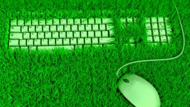 The race for a green internet