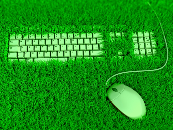 The race for a green internet