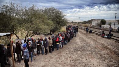 Migrating North, but to Mexico, Not the U.S.