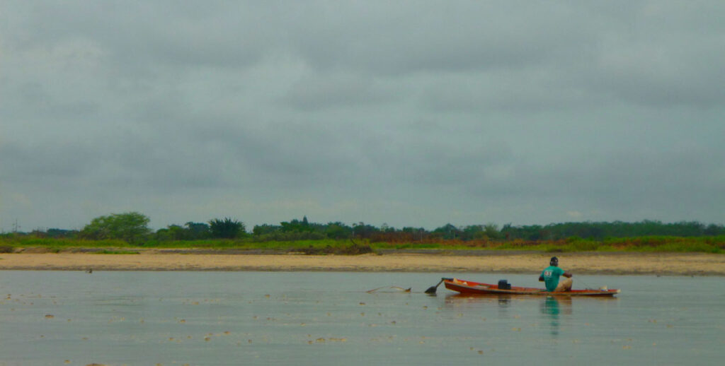 Latam's first habitat bank is launched in Colombia – LatinAmerican Post - Vimarsana News