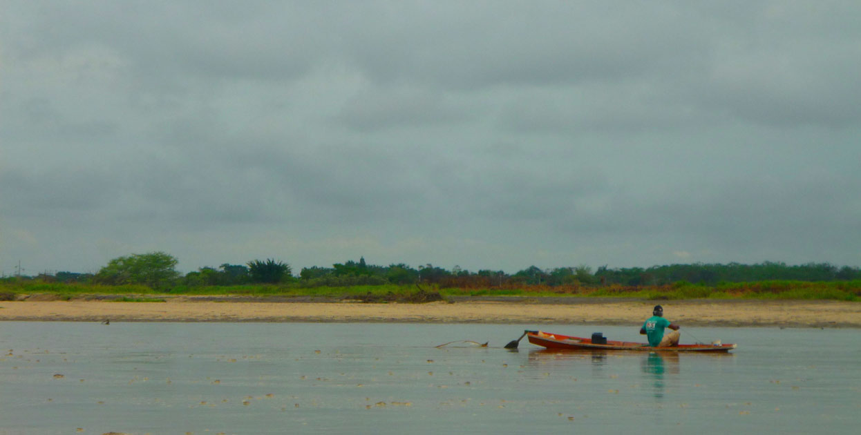 Latam’s first habitat bank is launched in Colombia