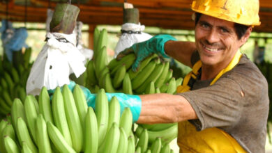 Is Costa Rica the world’s happiest, greenest country?