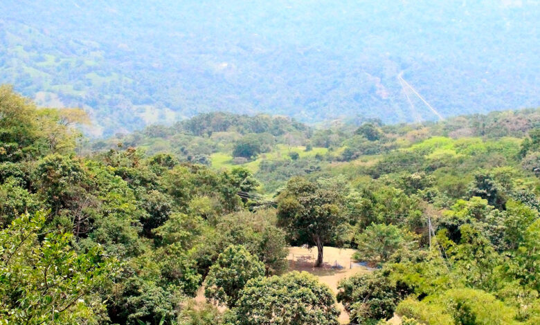 Colombia’s newest botanical garden