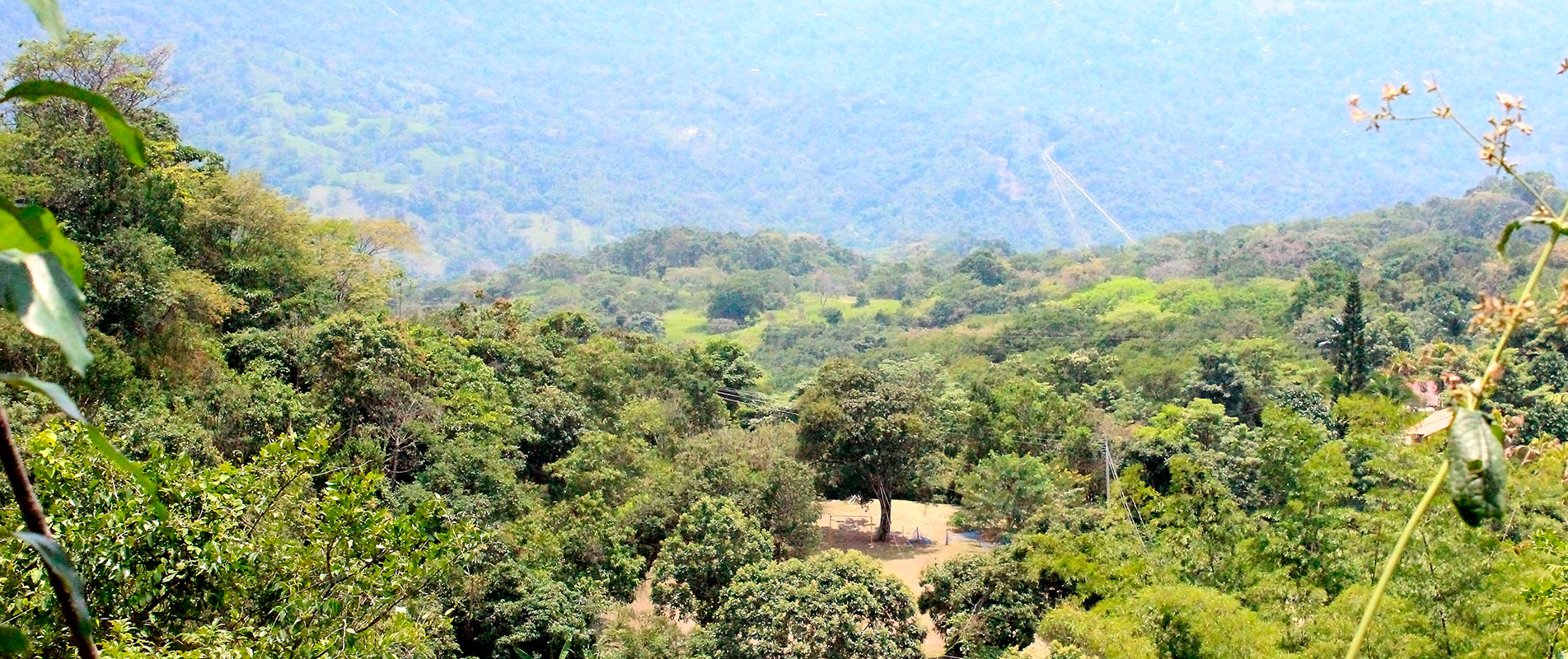 Colombia’s newest botanical garden