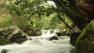 Peace rangers to protect Sierra Nevada