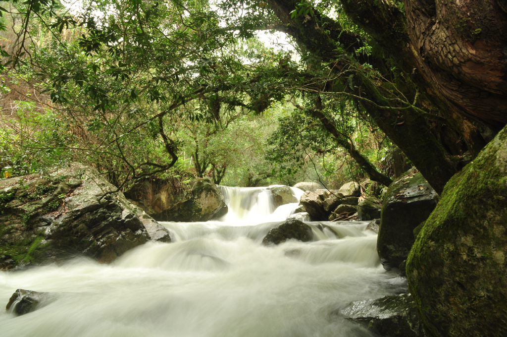 Peace rangers to protect Sierra Nevada