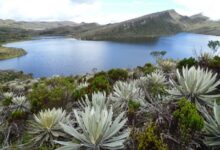 The largest páramo in the world under threat
