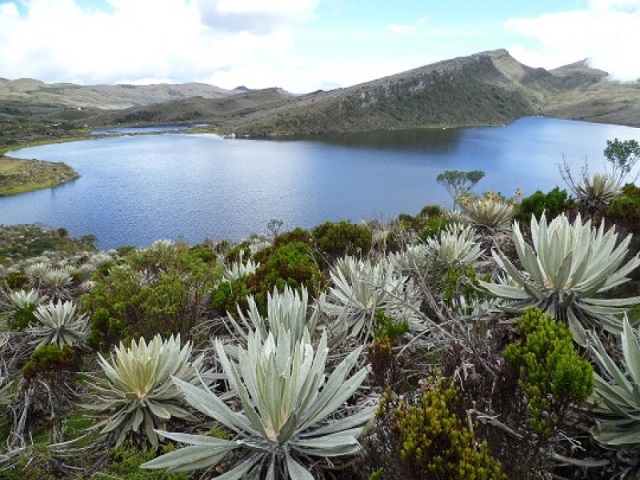 The largest páramo in the world under threat