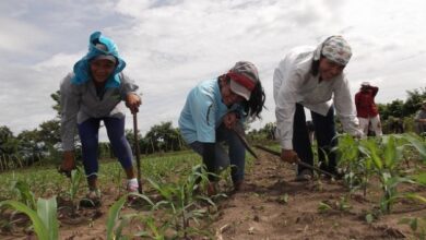 Labor Market is key for gender equality in Latin America