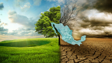 Mexico: Papel de los gobiernos sub-nacionales en evitar el cambio climático