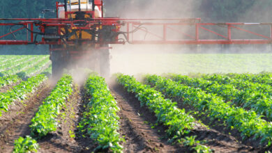 Pesticides aren’t necessary to feed the world