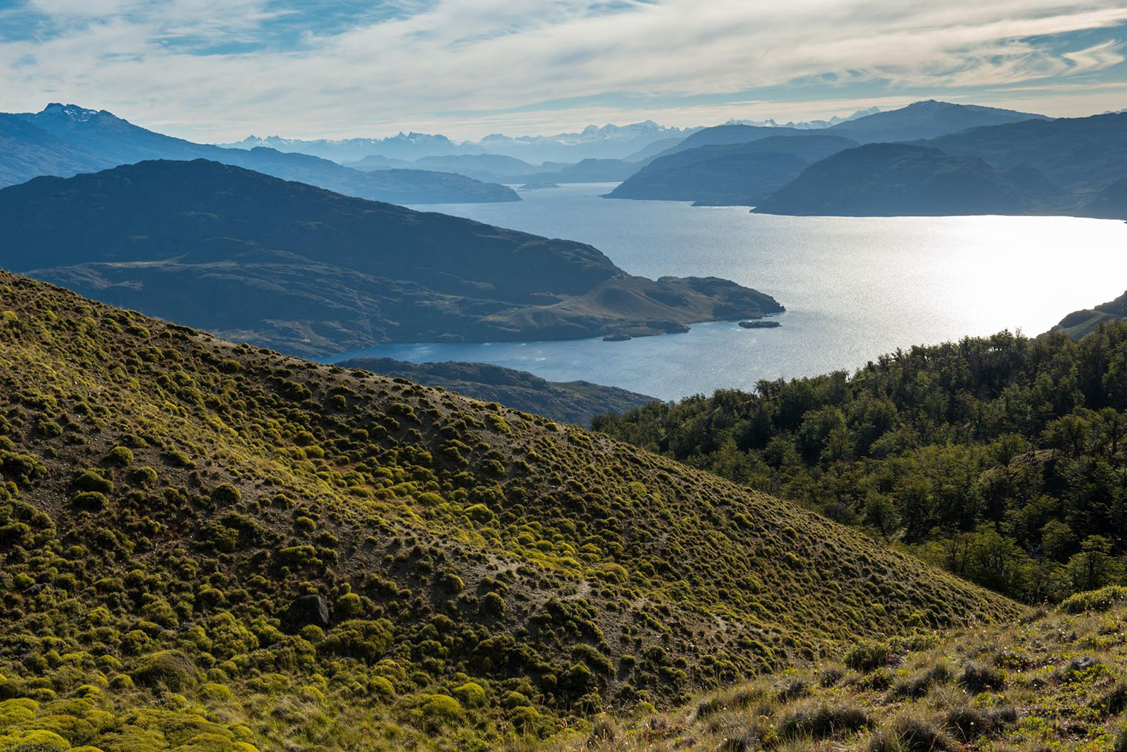 Chile’s 1M hectares of new protected land