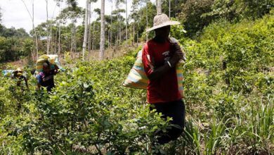 Colombia’s new conflict as war with Farc ends
