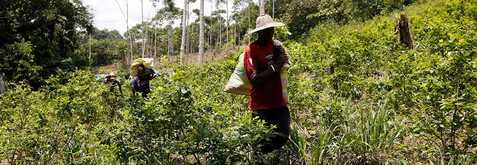 Colombia’s new conflict as war with Farc ends