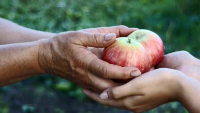 6 ways generous people see the world differently