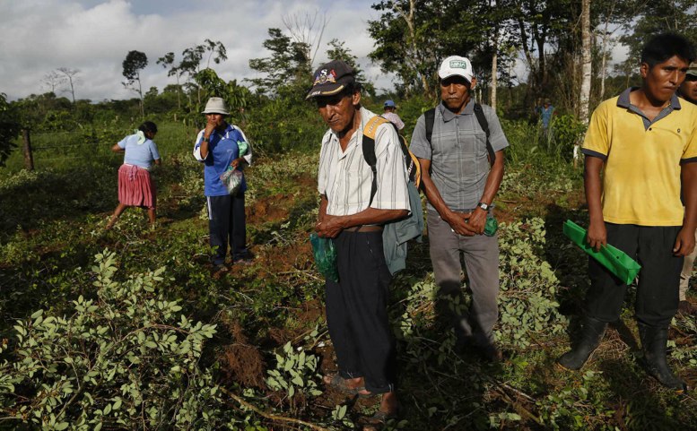 Bolivia coca growers seek suspension of new coca law