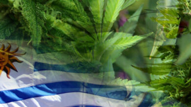 Uruguay: Legal pot user registration and prevention campaign