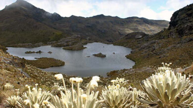 Three moorlands that you must see in Colombia