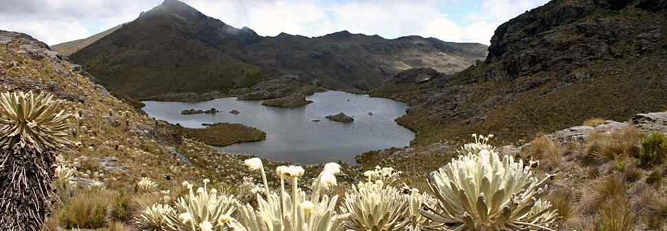 Three moorlands that you must see in Colombia