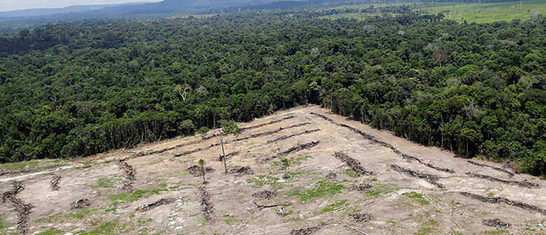 deforestation in Central America