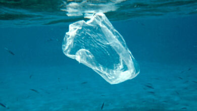 Be part of the change and reduce your plastic consumption