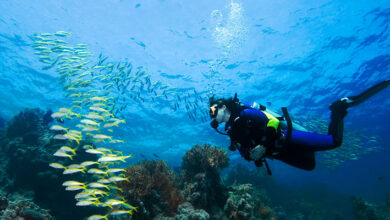 Top 6 diving spots in Latin America