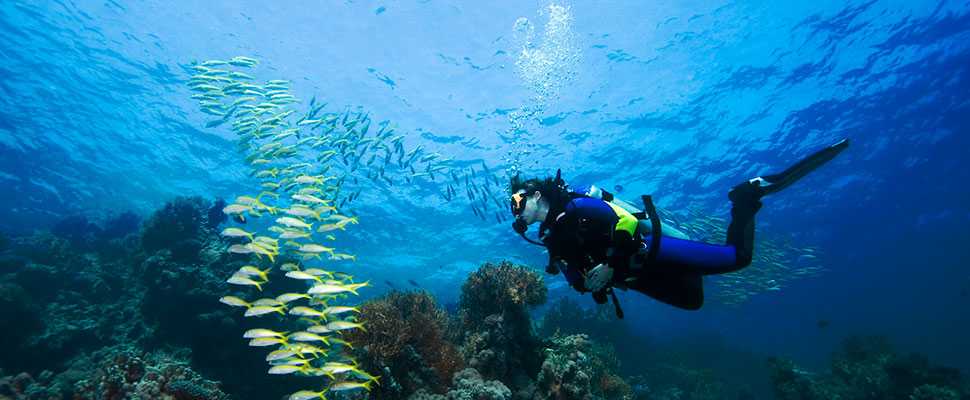 Top 6 diving spots in Latin America