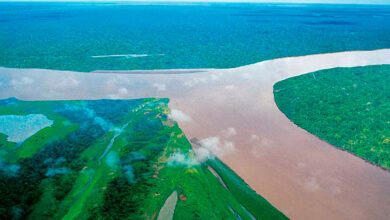 Bienvenidos a la sabana del Amazonas