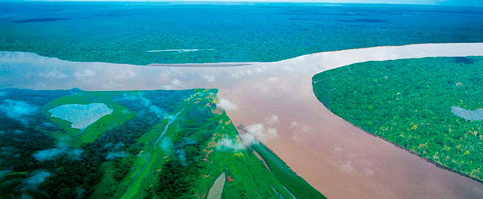 Bienvenidos a la sabana del Amazonas