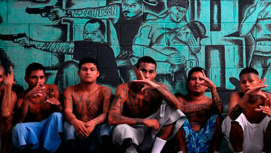 The sophistication of the MS-13 economy