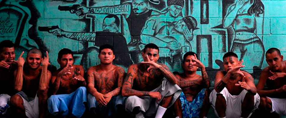 The sophistication of the MS-13 economy