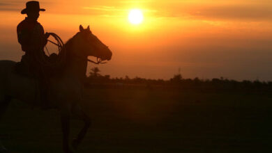 Forgotten destinations of Colombia: Llanos Orientales