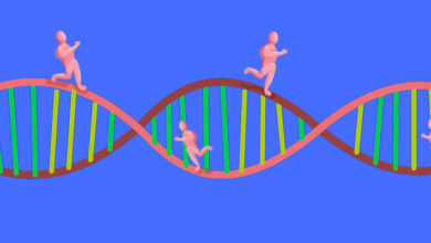 ¿Se podrán crear seres humanos genéticamente modificados?