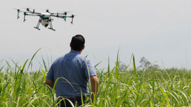 Bases militares de EE.UU podrán derribar drones