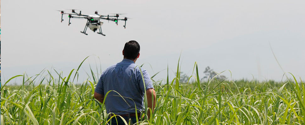 Bases militares de EE.UU podrán derribar drones