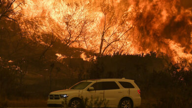 Incendios apocalípticos: las consecuencias de un grado más en la temperatura