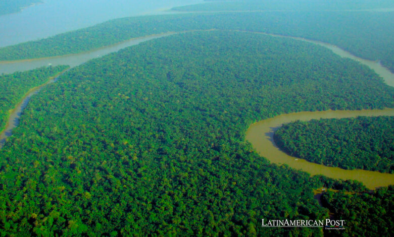 Aerial view of the Amazon Rainforest