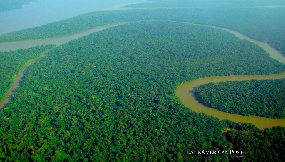 JBS enfrenta oposición para ingresar al NYSE por preocupaciones sobre la deforestación en la Amazonía