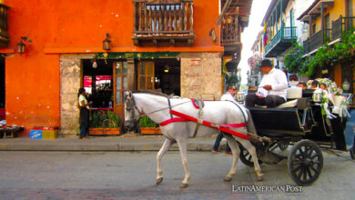 Carruajes de caballos en Cartagena