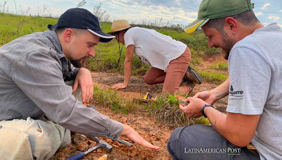 Antiguo fósil de anfibio descubierto en Brasil arroja luz sobre la era anterior a los dinosaurios