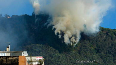 Colombia in a Fiery Crisis as El Niño Ignites Widespread Wildfires