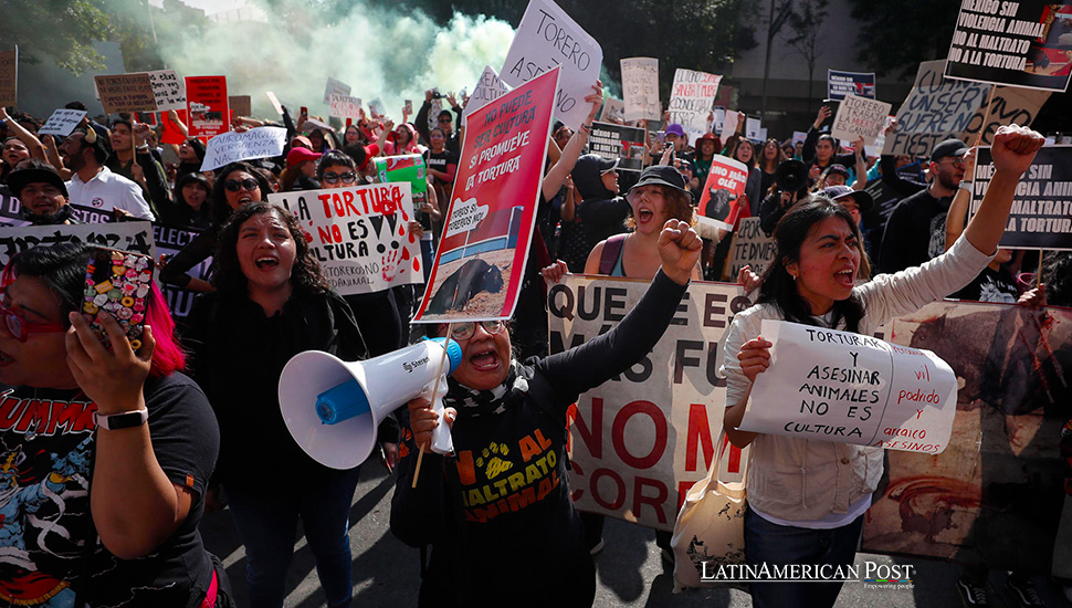 Public Outcry in Mexico City Against Resumption of Bullfighting