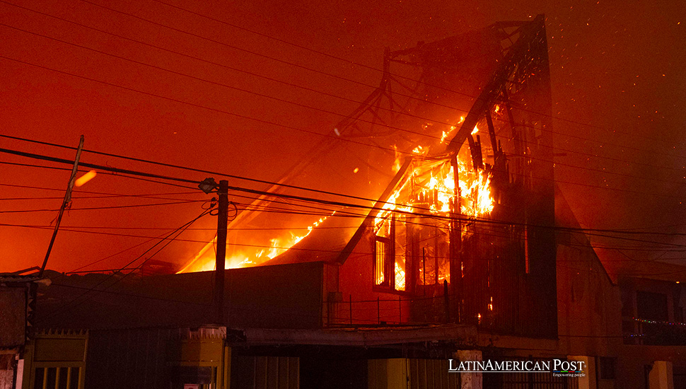 Desesperación en Chile: Una historia de destrucción, negligencia y resiliencia en medio de incendios forestales